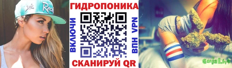 Канабис марихуана Юрьев-Польский